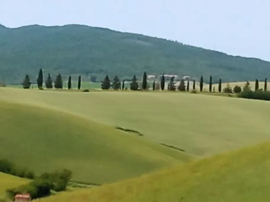 Lajatico Rentals - Terrazza Sul Tramonto Del Silenzio Lejlighed